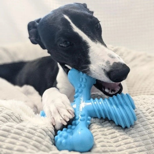 Power Chew Comfort Hold X Bone Dog Toy Beef Large (1 Count)